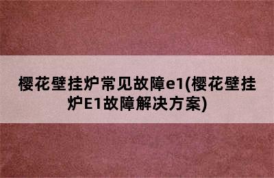 樱花壁挂炉常见故障e1(樱花壁挂炉E1故障解决方案)