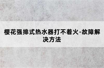 樱花强排式热水器打不着火-故障解决方法