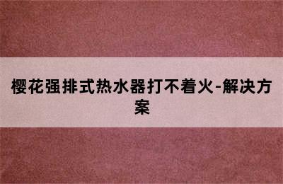 樱花强排式热水器打不着火-解决方案