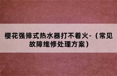 樱花强排式热水器打不着火-（常见故障维修处理方案）