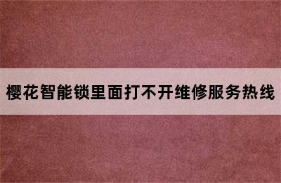 樱花智能锁里面打不开维修服务热线