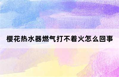 樱花热水器燃气打不着火怎么回事