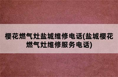 樱花燃气灶盐城维修电话(盐城樱花燃气灶维修服务电话)