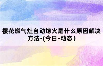 樱花燃气灶自动熄火是什么原因解决方法-(今日-动态）