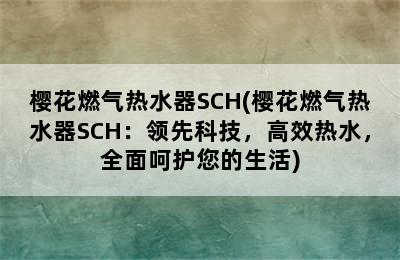 樱花燃气热水器SCH(樱花燃气热水器SCH：领先科技，高效热水，全面呵护您的生活)