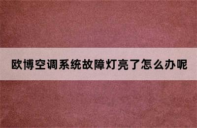 欧博空调系统故障灯亮了怎么办呢