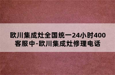 欧川集成灶全国统一24小时400客服中-欧川集成灶修理电话