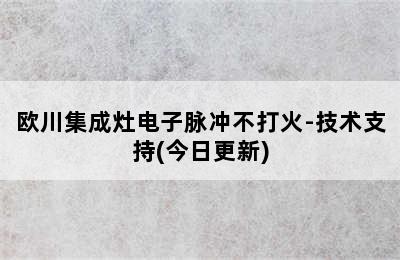 欧川集成灶电子脉冲不打火-技术支持(今日更新)