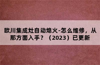 欧川集成灶自动熄火-怎么维修，从那方面入手？（2023）已更新