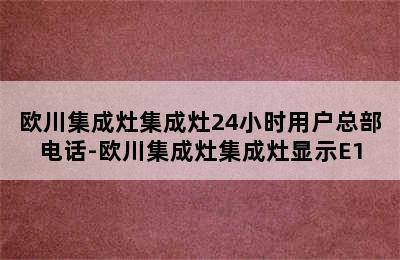 欧川集成灶集成灶24小时用户总部电话-欧川集成灶集成灶显示E1