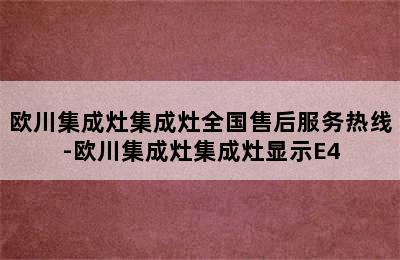 欧川集成灶集成灶全国售后服务热线-欧川集成灶集成灶显示E4