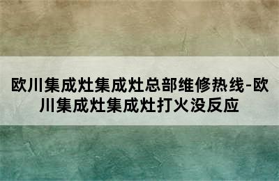 欧川集成灶集成灶总部维修热线-欧川集成灶集成灶打火没反应