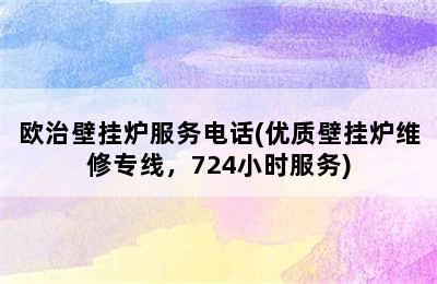 欧治壁挂炉服务电话(优质壁挂炉维修专线，724小时服务)