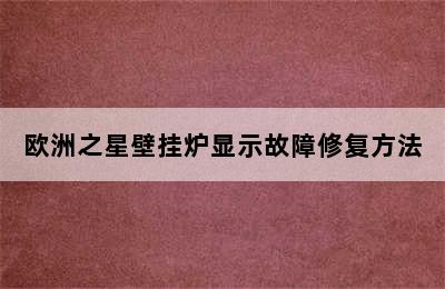 欧洲之星壁挂炉显示故障修复方法