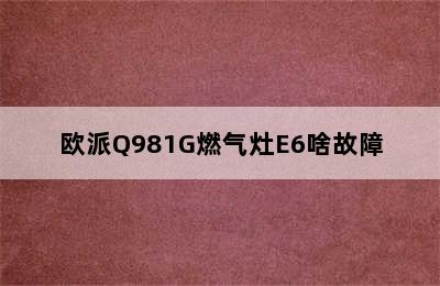 欧派Q981G燃气灶E6啥故障