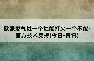 欧派燃气灶一个灶能打火一个不能-官方技术支持(今日-资讯)