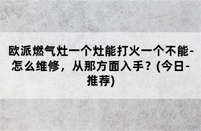 欧派燃气灶一个灶能打火一个不能-怎么维修，从那方面入手？(今日-推荐)