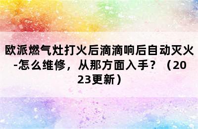 欧派燃气灶打火后滴滴响后自动灭火-怎么维修，从那方面入手？（2023更新）