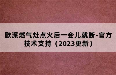 欧派燃气灶点火后一会儿就断-官方技术支持（2023更新）