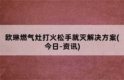 欧琳燃气灶打火松手就灭解决方案(今日-资讯)