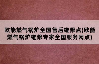 欧能燃气锅炉全国售后维修点(欧能燃气锅炉维修专家全国服务网点)