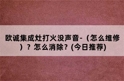 欧诚集成灶打火没声音-（怎么维修）？怎么消除？(今日推荐)