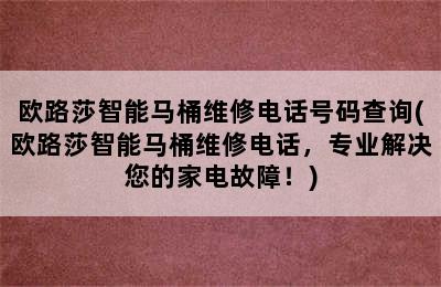 欧路莎智能马桶维修电话号码查询(欧路莎智能马桶维修电话，专业解决您的家电故障！)