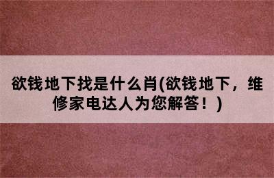 欲钱地下找是什么肖(欲钱地下，维修家电达人为您解答！)