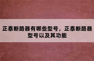 正泰断路器有哪些型号，正泰断路器型号以及其功能