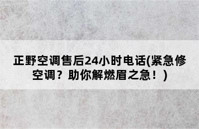 正野空调售后24小时电话(紧急修空调？助你解燃眉之急！)