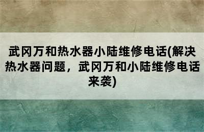 武冈万和热水器小陆维修电话(解决热水器问题，武冈万和小陆维修电话来袭)