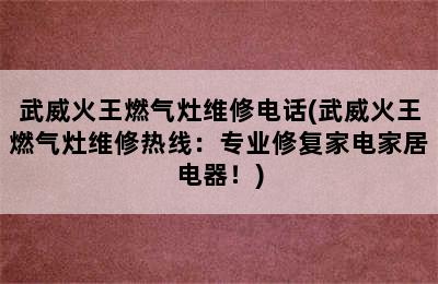 武威火王燃气灶维修电话(武威火王燃气灶维修热线：专业修复家电家居电器！)