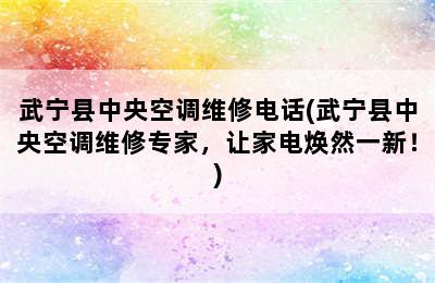 武宁县中央空调维修电话(武宁县中央空调维修专家，让家电焕然一新！)