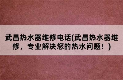 武昌热水器维修电话(武昌热水器维修，专业解决您的热水问题！)