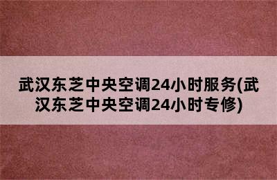 武汉东芝中央空调24小时服务(武汉东芝中央空调24小时专修)