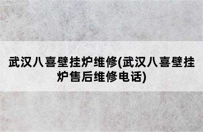 武汉八喜壁挂炉维修(武汉八喜壁挂炉售后维修电话)