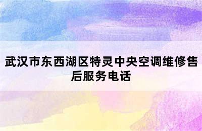 武汉市东西湖区特灵中央空调维修售后服务电话