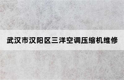 武汉市汉阳区三洋空调压缩机维修