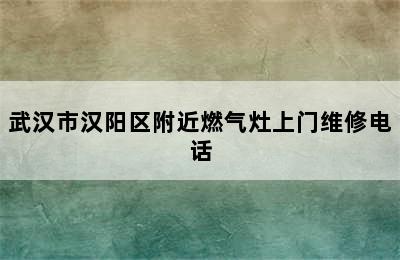 武汉市汉阳区附近燃气灶上门维修电话