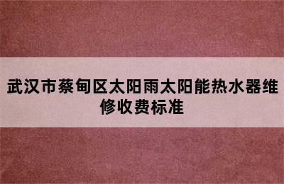 武汉市蔡甸区太阳雨太阳能热水器维修收费标准