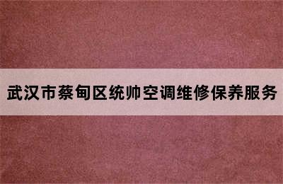 武汉市蔡甸区统帅空调维修保养服务