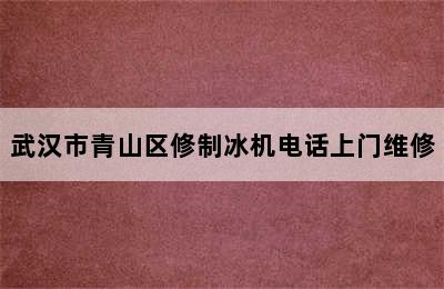 武汉市青山区修制冰机电话上门维修