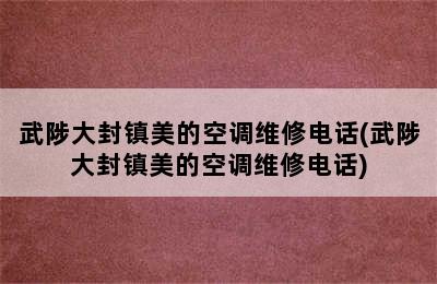 武陟大封镇美的空调维修电话(武陟大封镇美的空调维修电话)