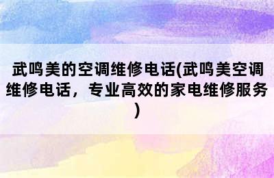 武鸣美的空调维修电话(武鸣美空调维修电话，专业高效的家电维修服务)