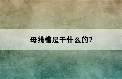 母线槽是干什么的？