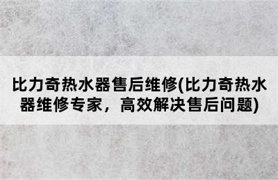 比力奇热水器售后维修(比力奇热水器维修专家，高效解决售后问题)