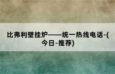 比弗利壁挂炉——统一热线电话-(今日-推荐)