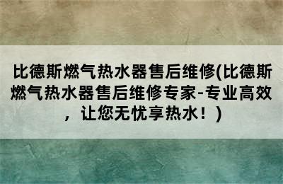 比德斯燃气热水器售后维修(比德斯燃气热水器售后维修专家-专业高效，让您无忧享热水！)