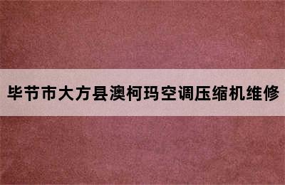 毕节市大方县澳柯玛空调压缩机维修