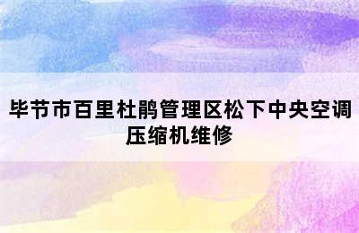 毕节市百里杜鹃管理区松下中央空调压缩机维修